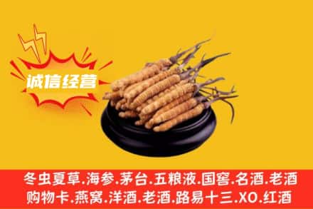 衡阳石鼓区回收冬虫夏草